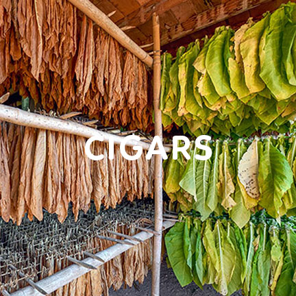 tobacco growers