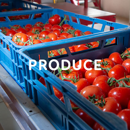 produce processors