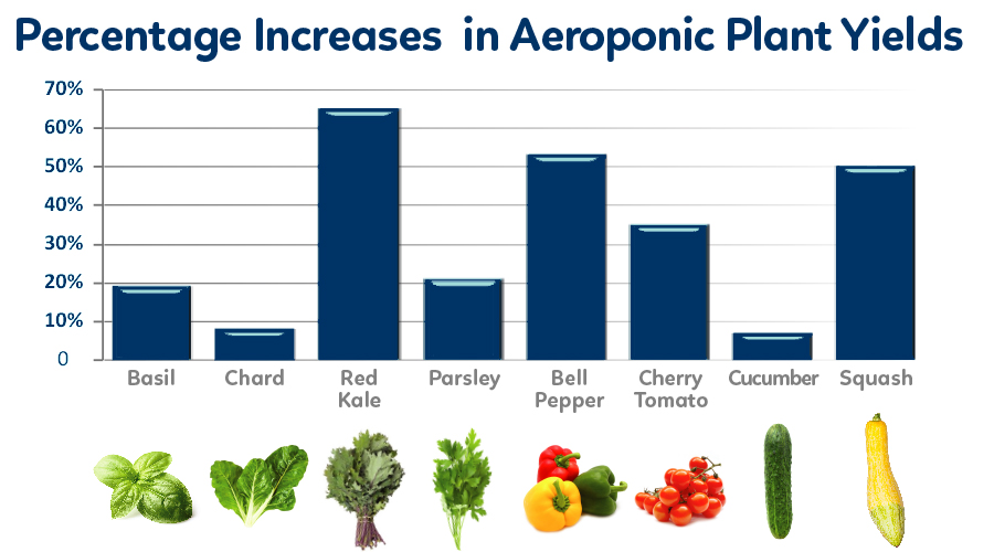 aeroponic yields