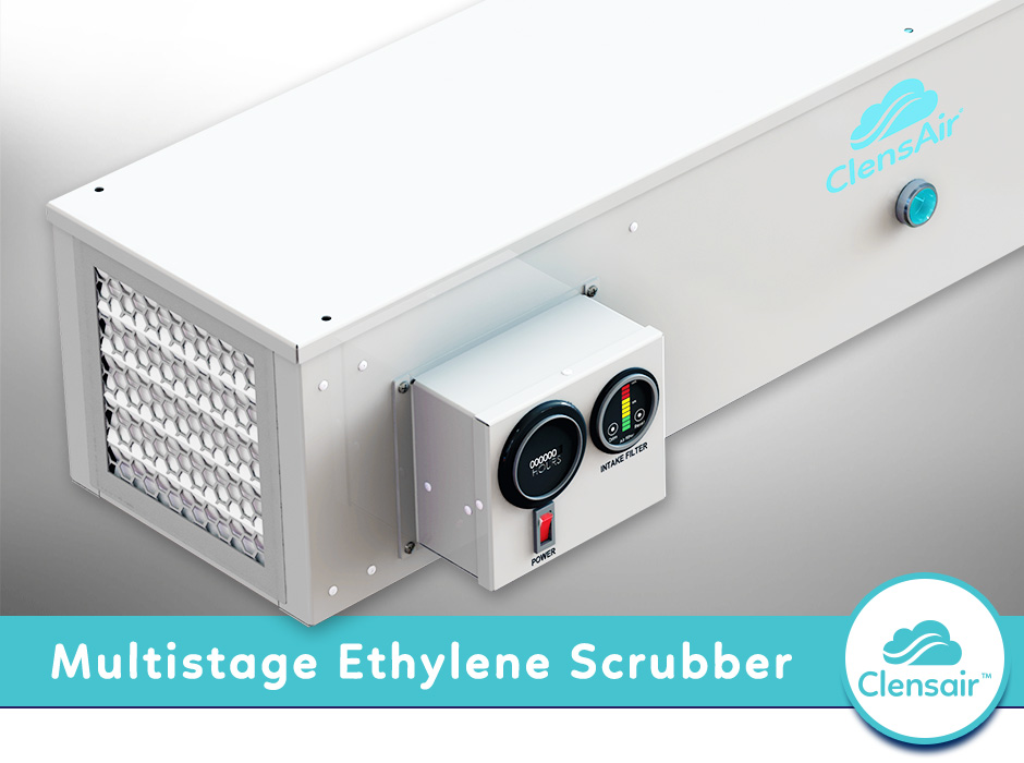 Automated Ethylene Management