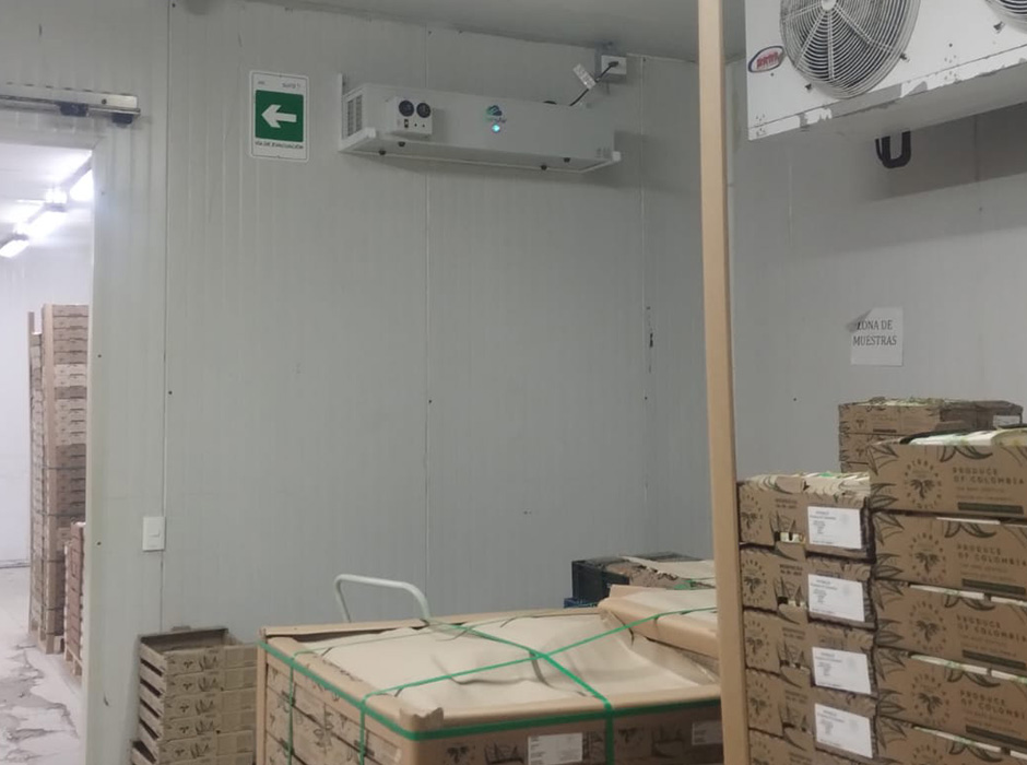 automated ethylene management